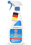 Patronus Anti Bettwanzen-Spray zur Bettwanzen-Bekämpfung 500ml - Mittel gegen Bettwanzen - geruchsneutral, hochwirksam und laborgeprüft